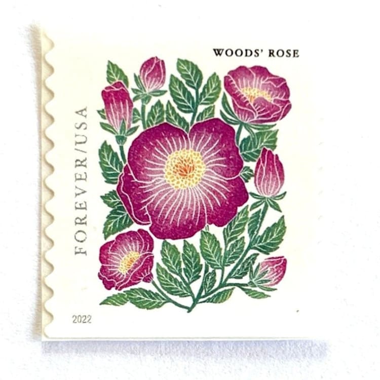 "Woods' Rose Postage Stamps | Mountain Flora Series | Pink Flower | Botanical | Wedding Stamps | Vintage Unused USPS Postage Forever Stamps | Pack of 10" - Postage Stamps in pink by Heritage Post House