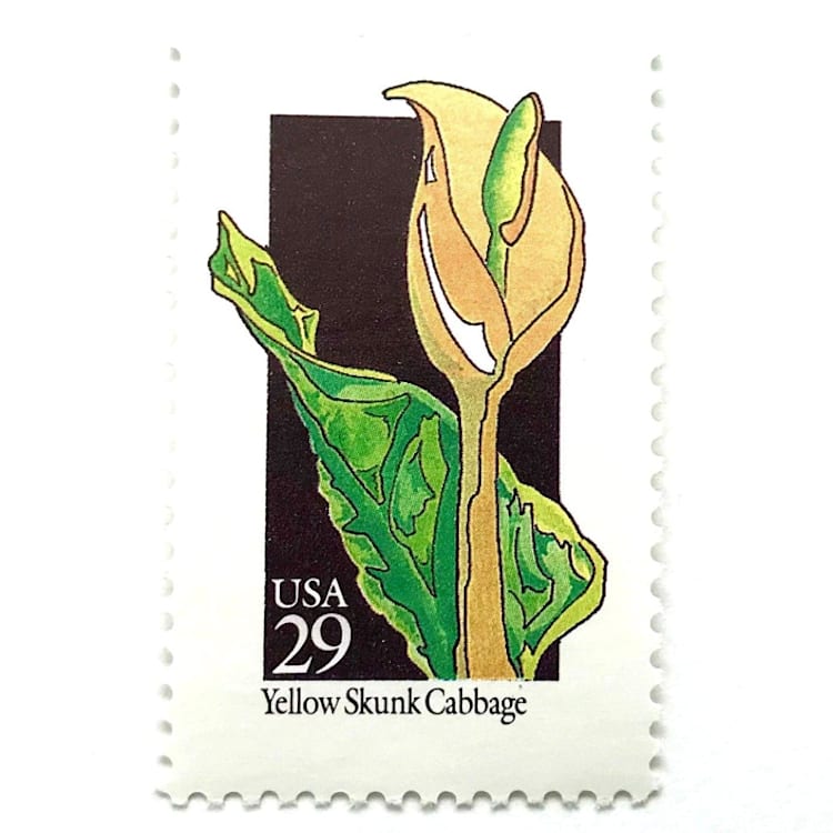 "Yellow Skunk Cabbage Postage Stamps | American Wildflower Series | Yellow Flower | Botanical | Wedding Stamps | Vintage Unused USPS Postage 29c | Pack of 10" - Postage Stamps in yellow by Heritage Post House