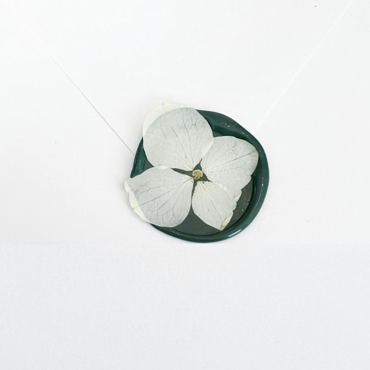 "White Hydrangea Wax Seal in Green | Pack of 10" - Wax Seals in green by Caitlin Home