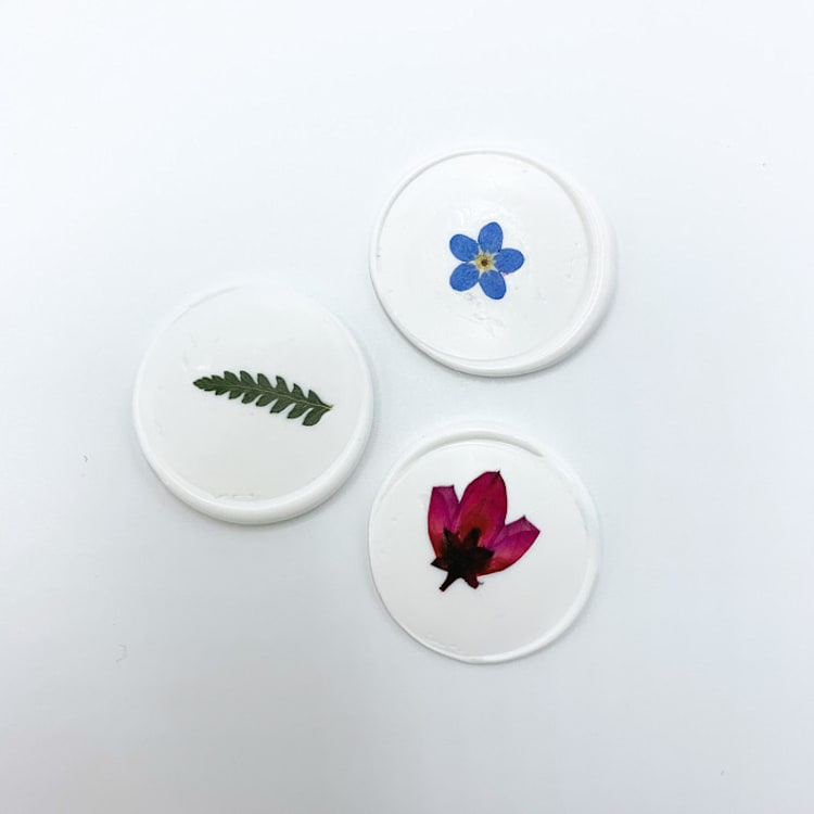"Pressed Flower White Wax Seal Assorted Flowers Set Of 6" - Wax Seals in white by Christine OMalley