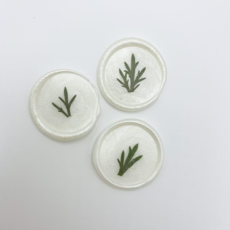"Pressed Flower Ivory Wax Seal Green Ferns Set Of 6" - Wax Seals in white by Christine OMalley