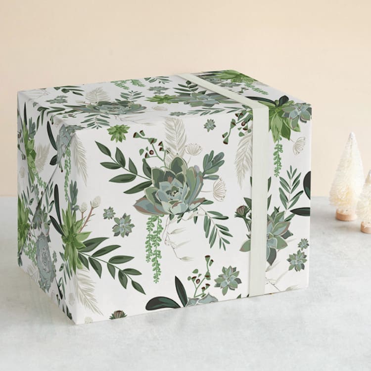 "Wrapped in Succulents" - Wrapping Paper in Ivory by Susan Moyal - Front