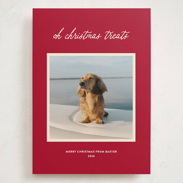 "Christmas Treats" - Holiday Cards in Red Chew Toy by Sarah Hawkins Designs - Front