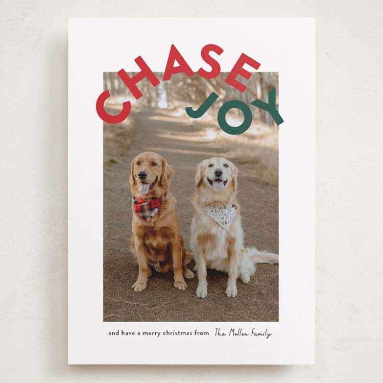 "Chase Joy" - Holiday Cards in Holly by Angela Garrick - Front