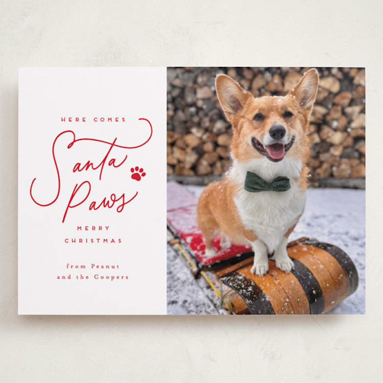 "Here Comes Santa Paws" - Holiday Cards in Cherry by Everett Paper Goods - Front