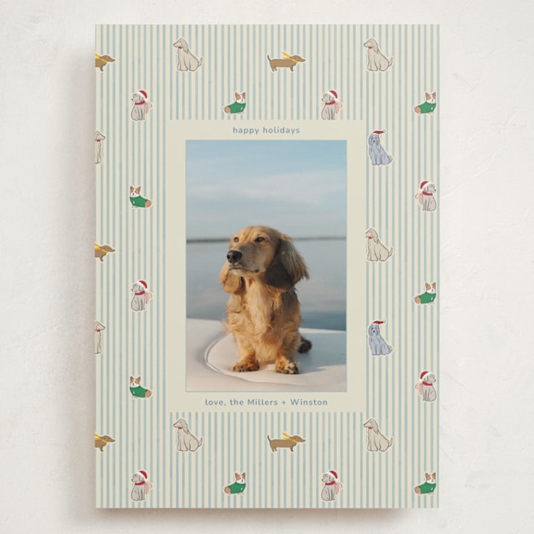 "Paws & Pinstripes" - Holiday Cards in Frost by Daisyworks Studio - Front