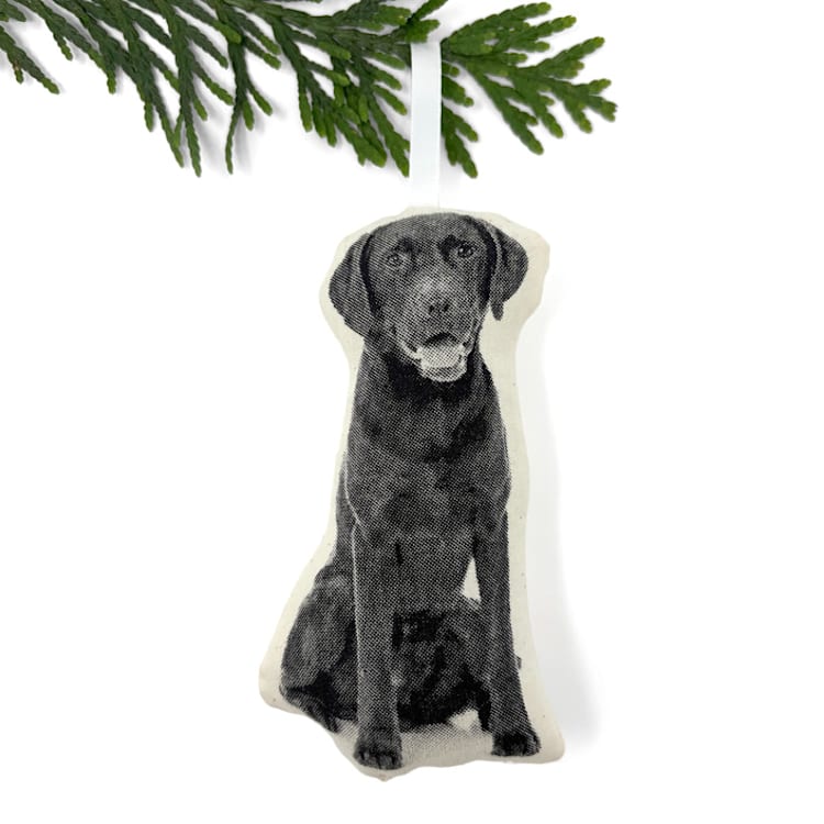 "Silkscreen Labrador Retriever Ornament" - Ornaments in beige by Broderpress