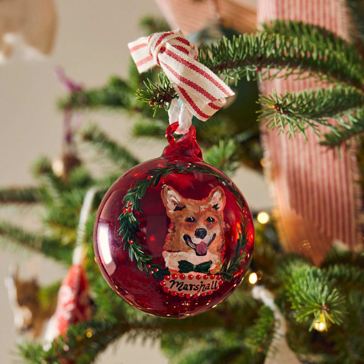 "Custom Hand-Painted Pet Ornament" - Ornaments in multicolorassorted-colors by Ashley Myers