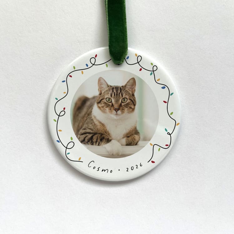 "Personalized Pet Photo Ornament - Holiday Lights" - Ornaments in multicolorassorted-colors by Holly Whitcomb