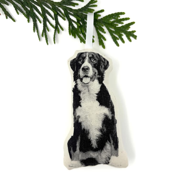 "Silkscreen Bernese Mountain Dog Ornament" - Ornaments in beige by Broderpress