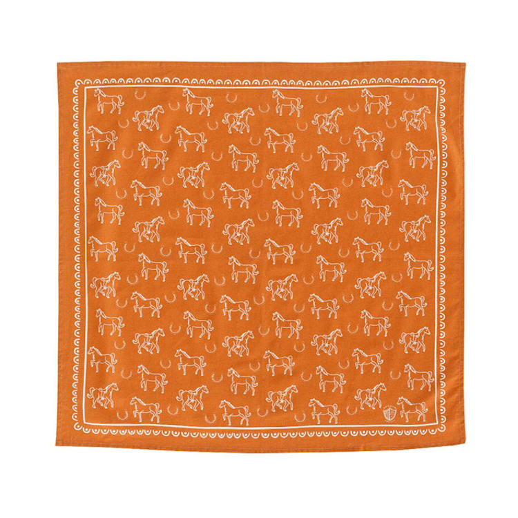 "Yeehaw "Horse" Bandana" - Party Favors in brown by Jollity and Co