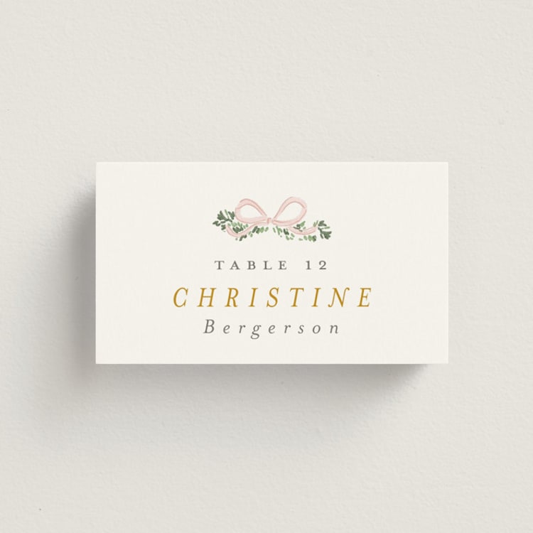 "Ribbonly Frame" - Place Cards in Blush by Itsy Belle Studio - Front