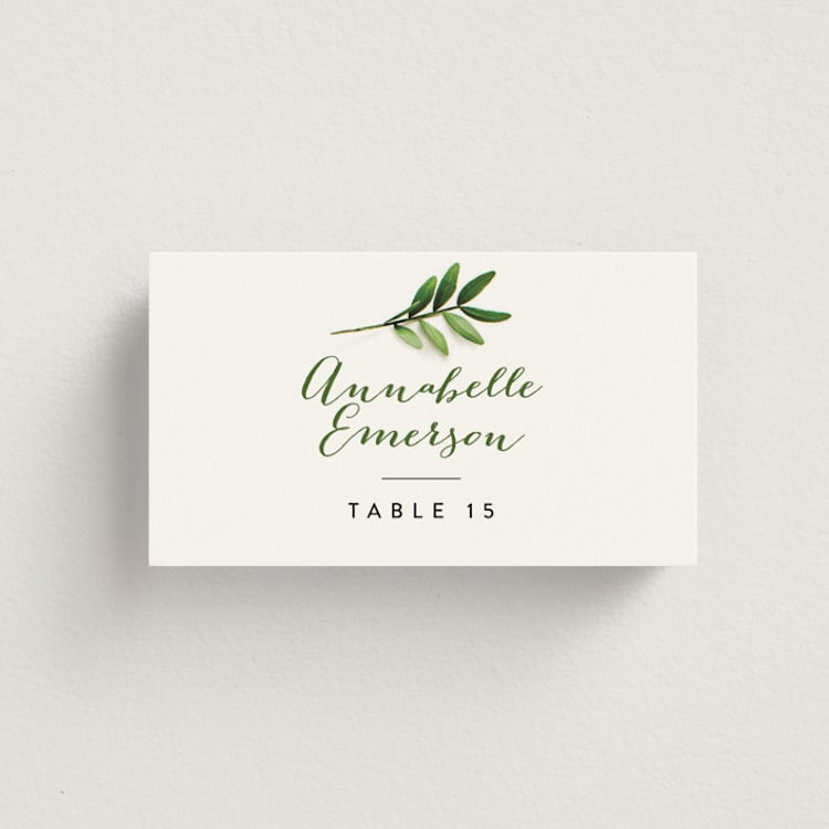 "Leaf Arc" - Place Cards in Sage by Ariel Rutland - Front