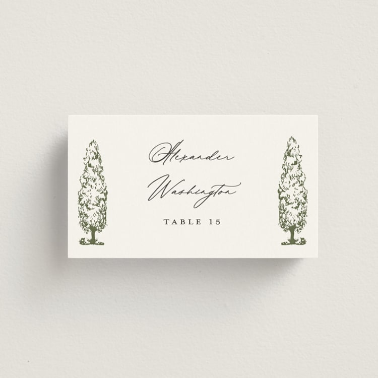 "Vineyard" - Place Cards in Olive by Sarah Brown - Front