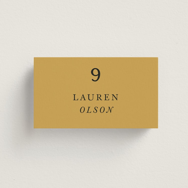 "Silhouette" - Place Cards in Sunrise by Lindsay Megahed - Front