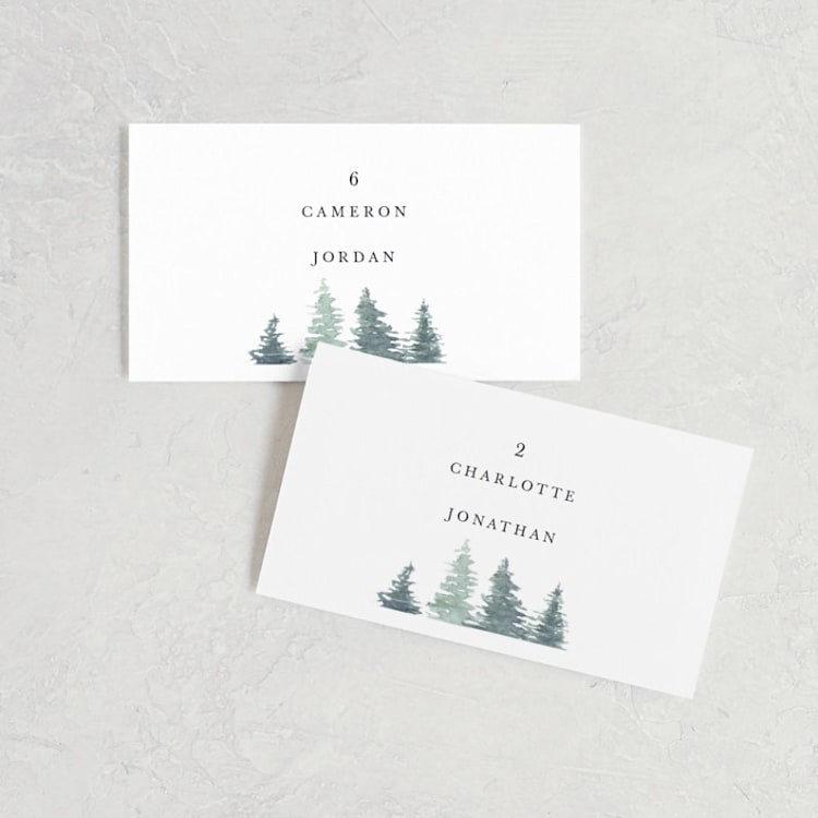"painted woods" - Place Cards in Rain by Anne Kostecki - Front