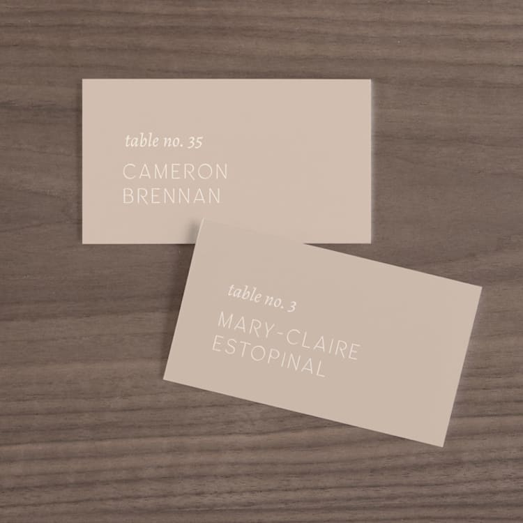 "Painted Sands" - Place Cards in Terracotta by Chelsea Petaja - Front