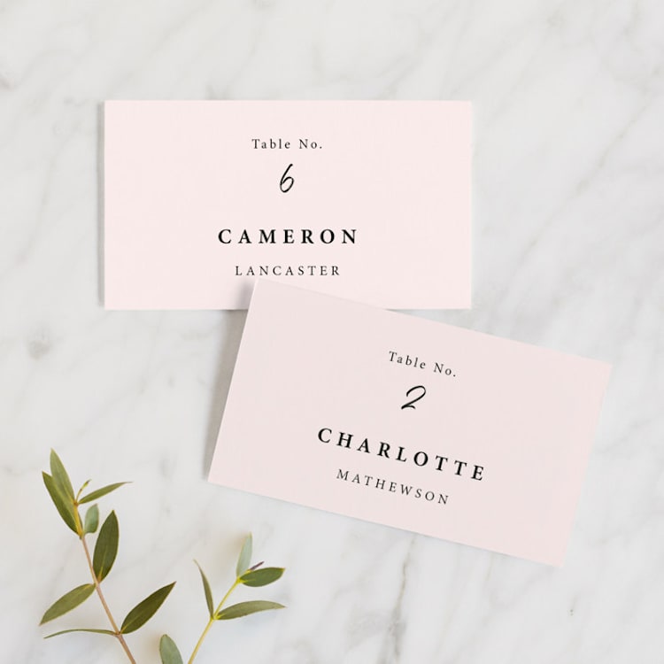 "Mod Brush" - Place Cards in Blush by Lisa Fee Paura - Front