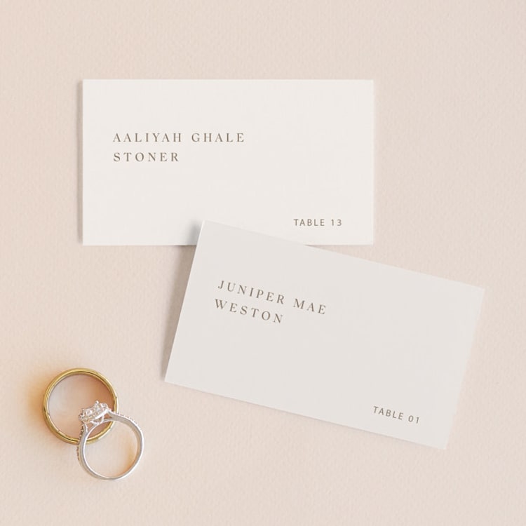 "Juniper" - Place Cards in Blush by Mere Paper - Front