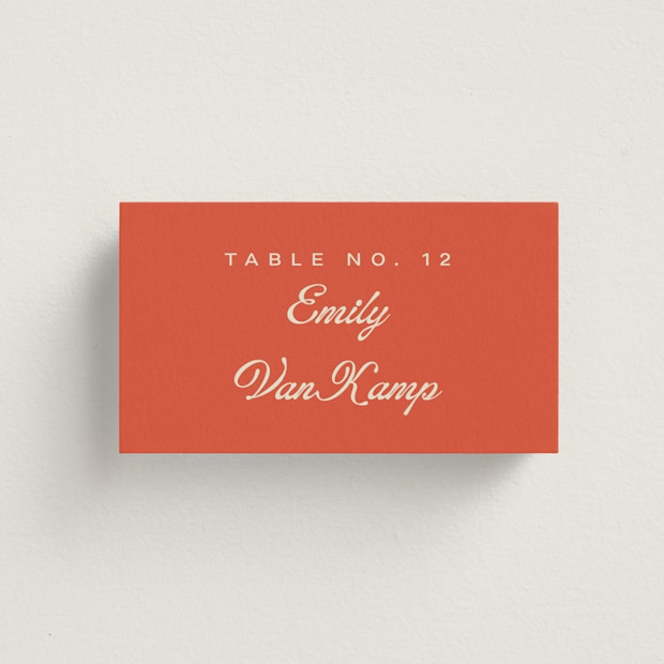 "Modern Bold" - Place Cards in Tangerine by Alethea and Ruth - Front