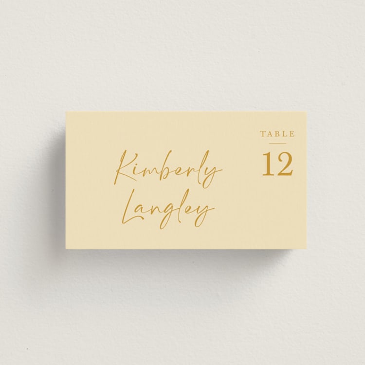 "Ink scribble" - Place Cards in Honey by Adelyn T. - Front