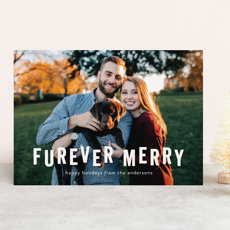 "Furever Merry" - Retired Holiday Cards in Mist by Bethany Anderson - Front