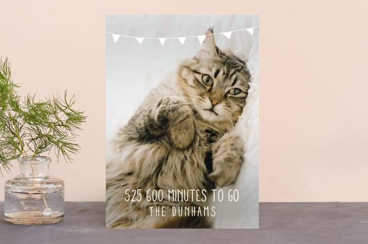 "Bunting Holiday" - Retired Holiday Cards in Snow by Leanne Friedberg - Front