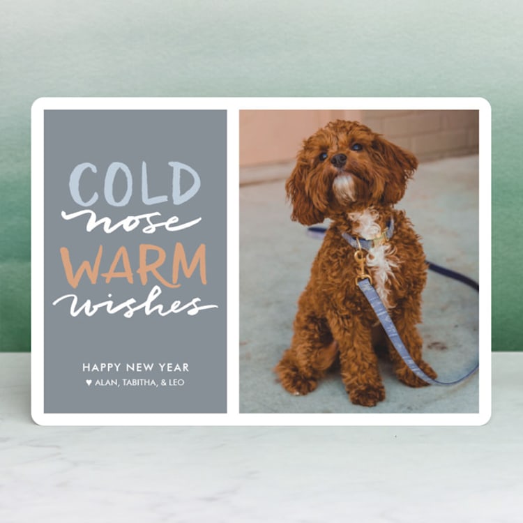 "Cold Nose, Warm Wishes" - Retired Holiday Cards in Slate Blue by Laura Condouris - Front