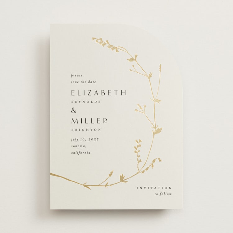 "Vine Wrap" - Save the Dates in Cotton by Amy Kross - Front