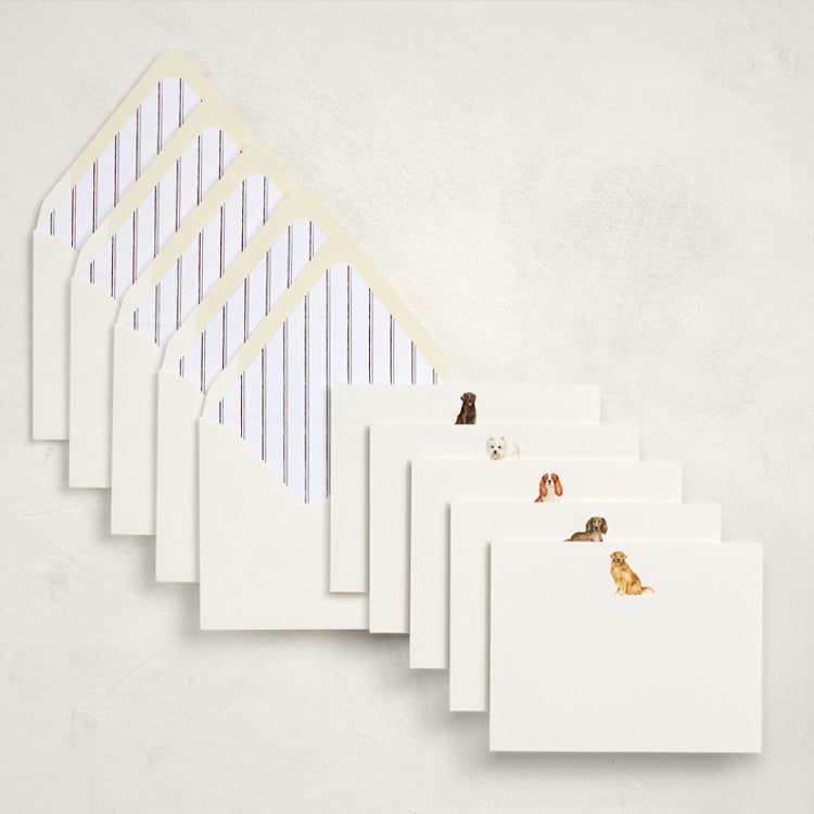 "Man's Best Friend (set of 10)" - Stationery Set in Multi by Sarah Knight