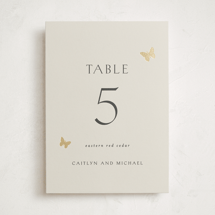 "dancing in the garden" - Table Numbers in Blush Meadow by Grae - Front