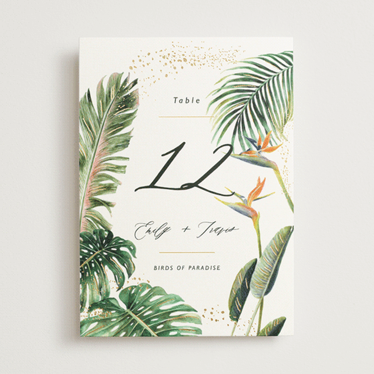 "Our Paradise" - Table Numbers in Tropical by Elly - Front