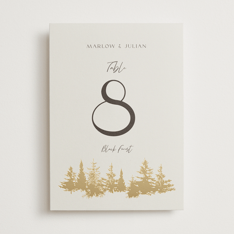 "Vista" - Table Numbers in Fallen Snow by Robin Ott - Front