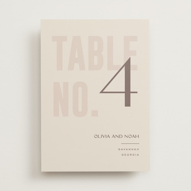 "Salted" - Table Numbers in Blush by Pixel and Hank - Front