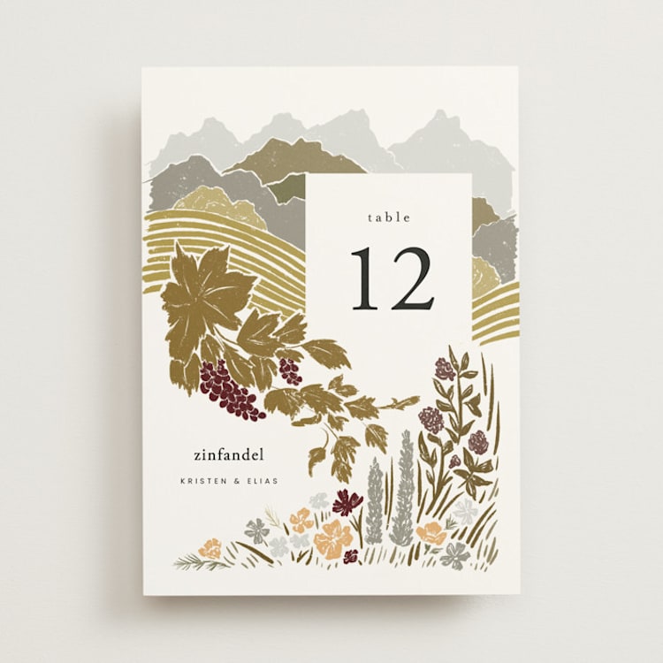 "Valley of the Moon" - Table Numbers in Sage by Shiny Penny Studio - Front