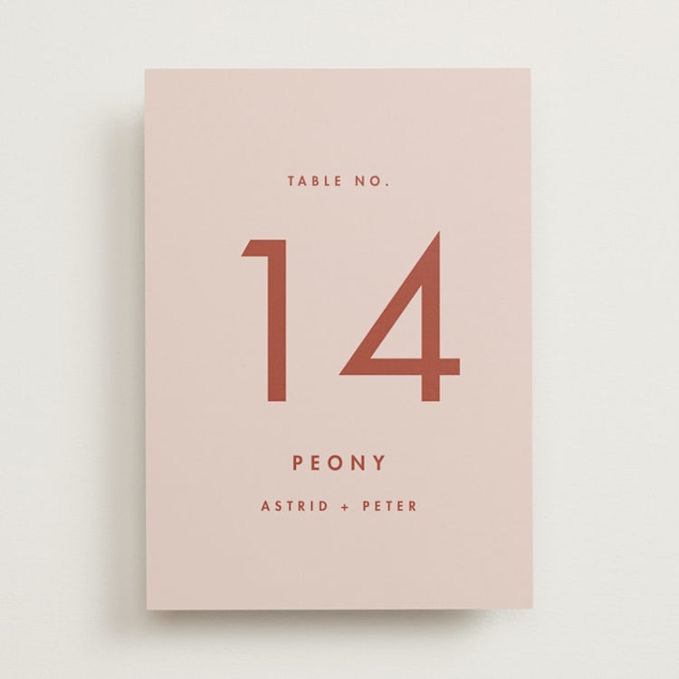 "Jot" - Table Numbers in Peach Cream by Snow and Ivy - Front