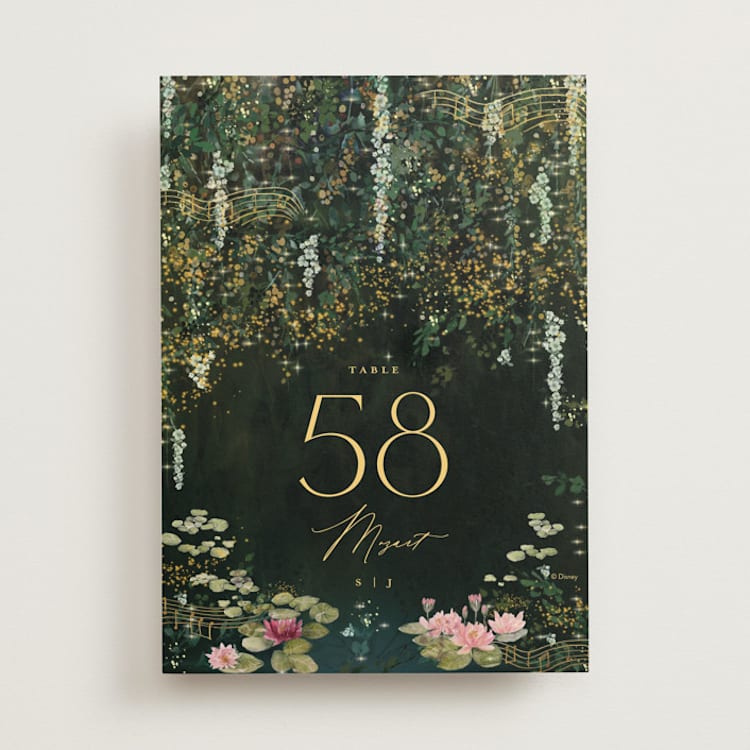"New Orleans from Disney's Princess and The Frog" - Table Numbers in Mystic by Phrosné Barwood - Front