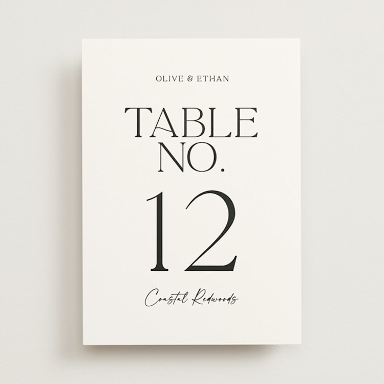 "Casual" - Table Numbers in Pearl by Owl and Toad - Front