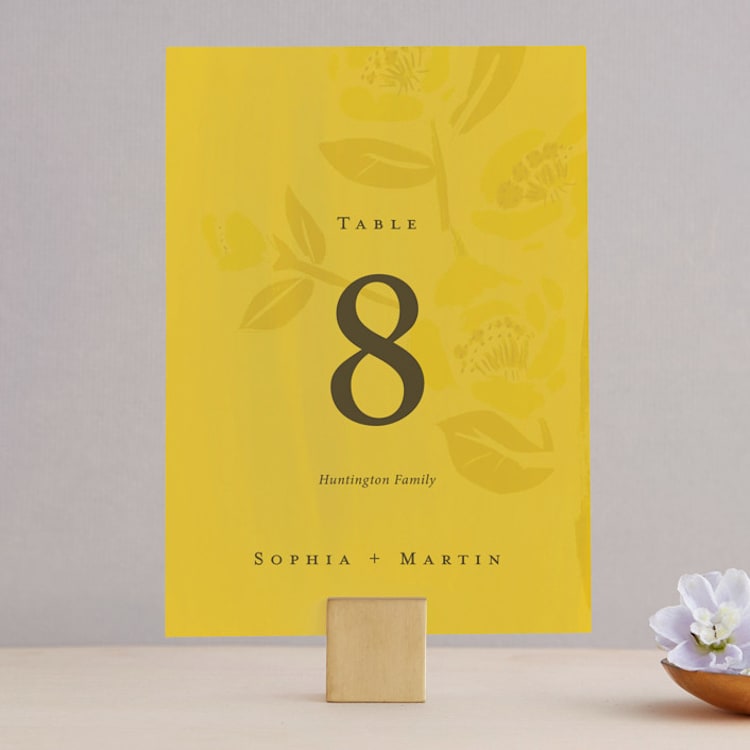 "sophia" - Table Numbers in Sunshine by Ani Somi - Front