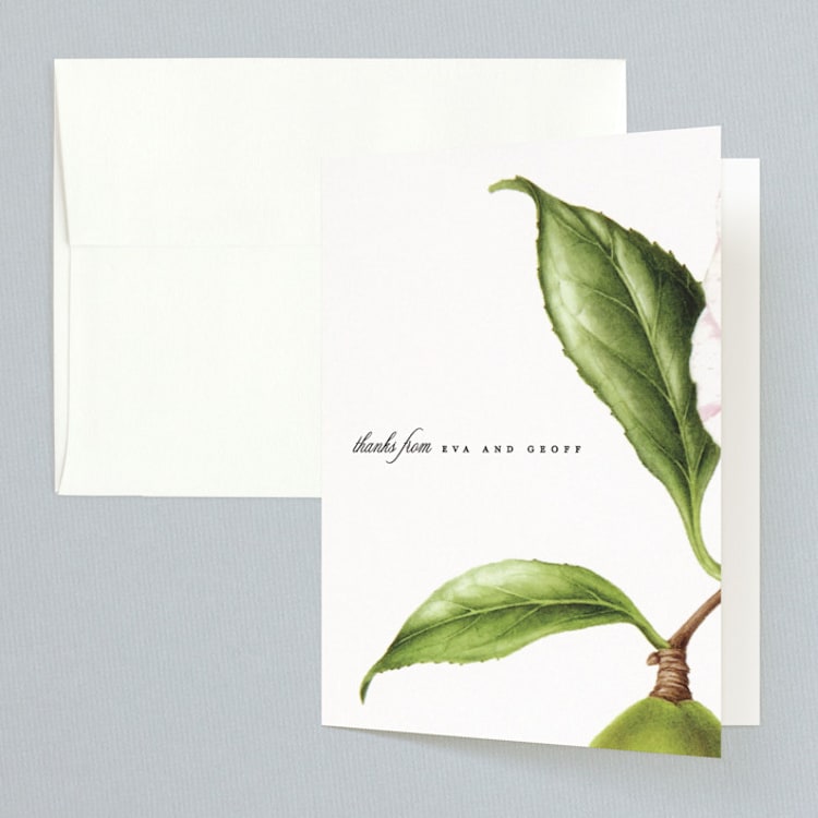 "Botanic" - Folded Wedding Thank You Cards in Midnight by kelli hall - Front