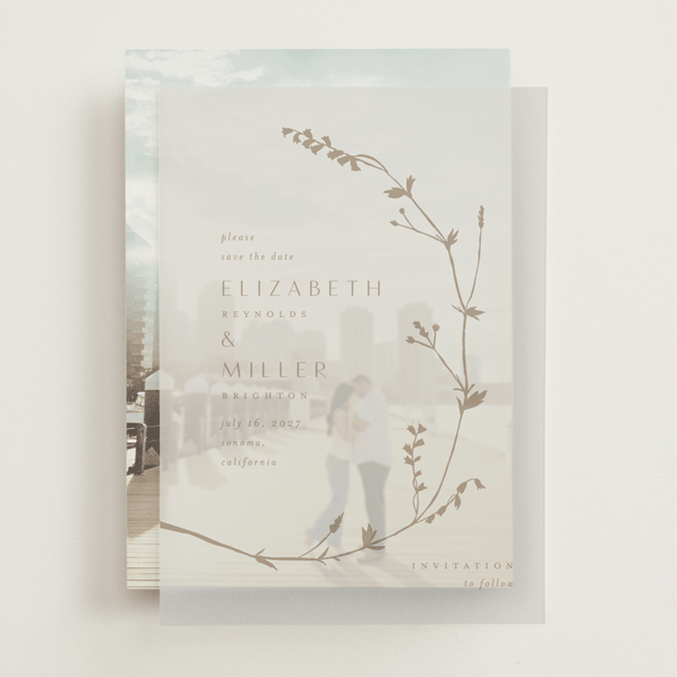 "Vine Wrap" - Vellum Overlays in Cotton by Amy Kross - Front