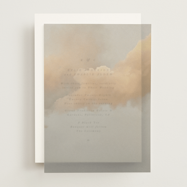 "Softness" - Vellum Overlays in Fog by Christa - Front