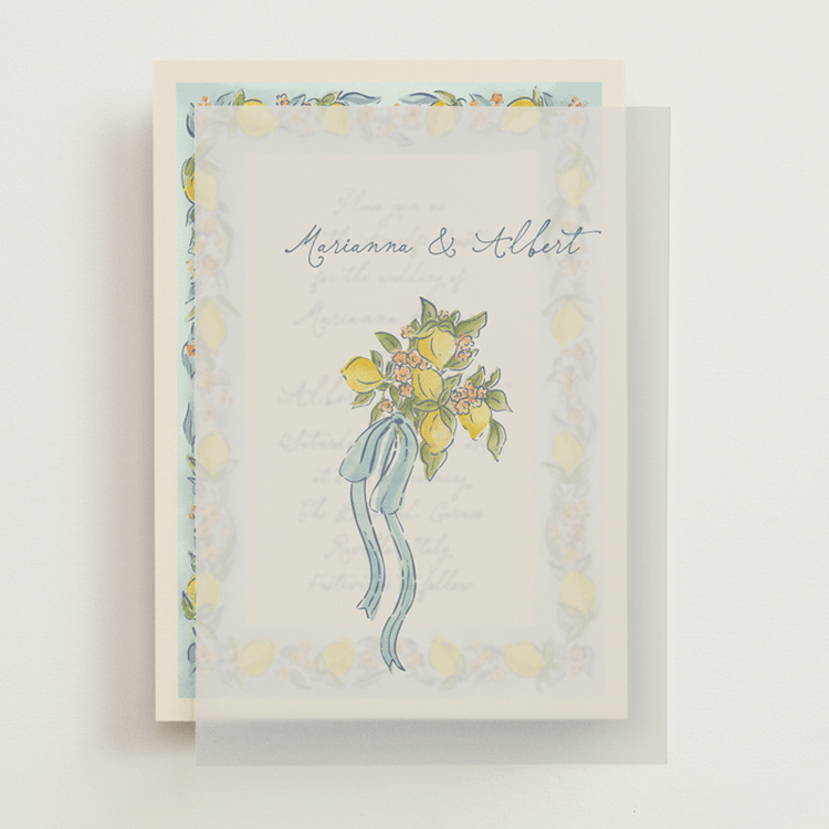 "Amalfi Coast Wedding" - Vellum Overlays in Aqua by Chris Griffith - Front