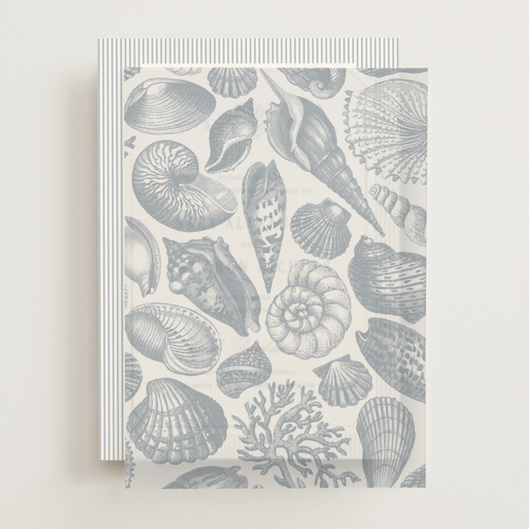 "Seashore" - Vellum Overlays in Coast by Kelly Schmidt - Front
