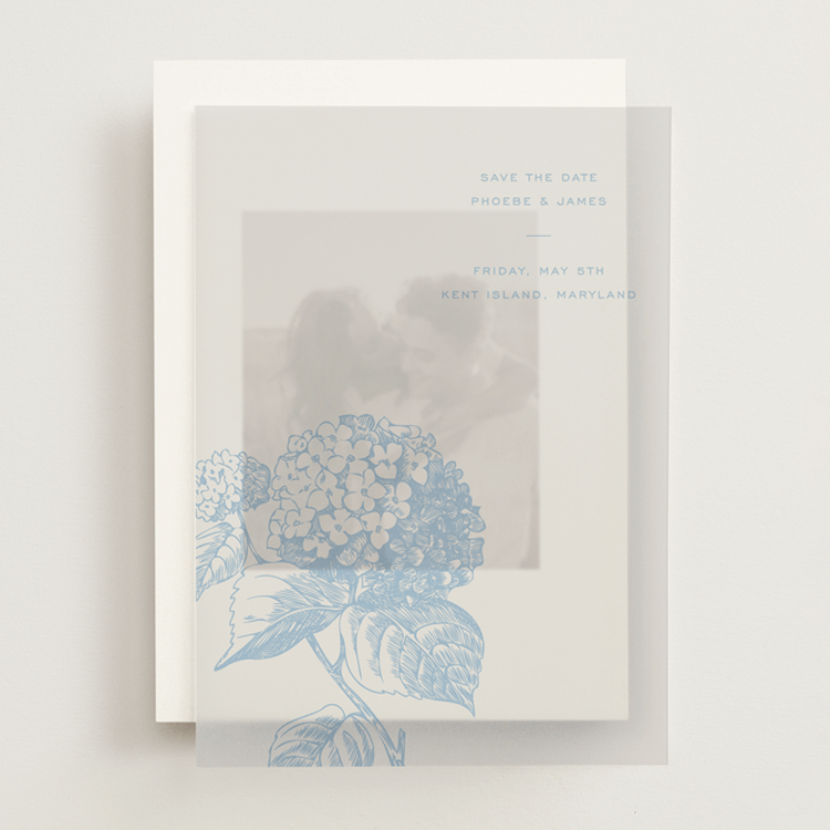 "Cheseapeake" - Vellum Overlays in Vista by Megan Davis - Front