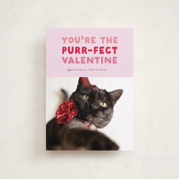 "Purr-fect Valentine" - Valentine's Day Cards in Berry by Carmia C. - Front