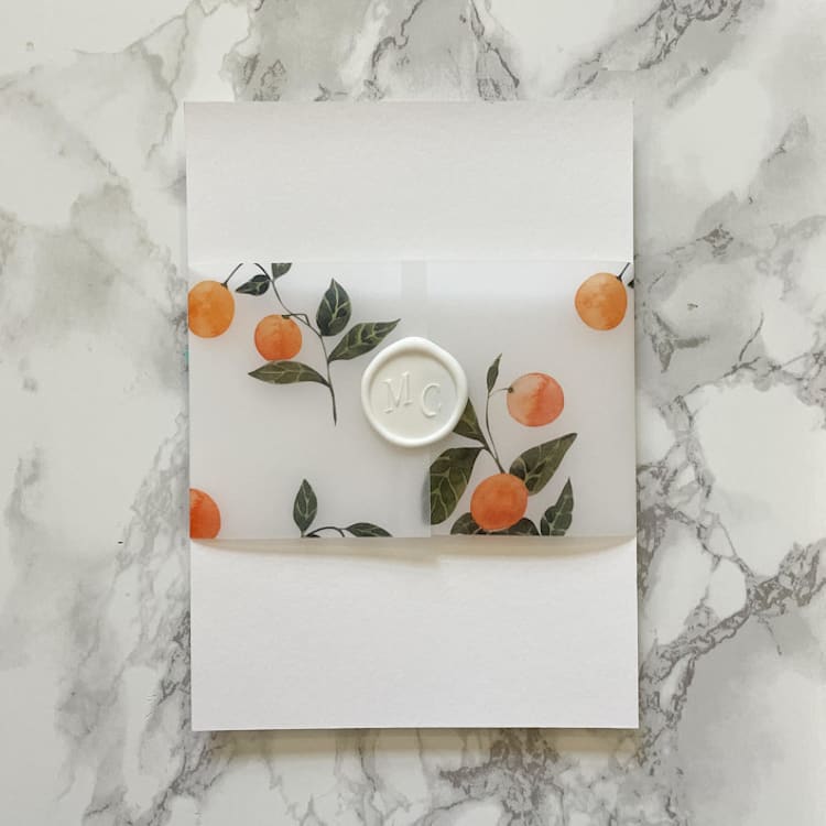"Orange Vellum Belly Band for Invitaitons (25 Pack)" - Belly Bands in orange by Carley Zuercher