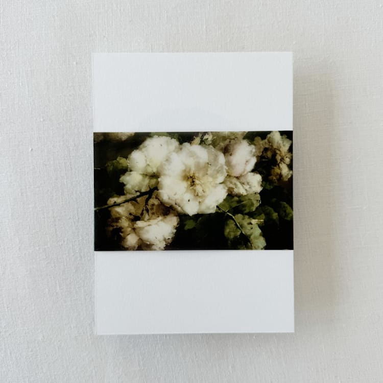 "Vintage Neutral Floral Vellum Belly Bands For Wedding Invitations | Set Of 25" - Belly Bands in white by Eva Friesen