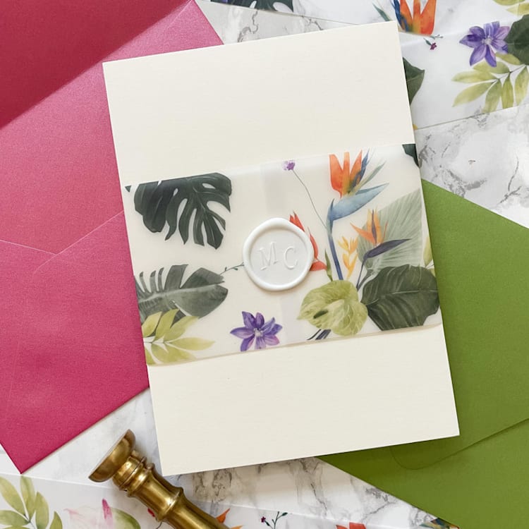 "Tropical Vellum Belly Band for Wedding Invitations 3" (25 Pack)" - Belly Bands in clear by Carley Zuercher