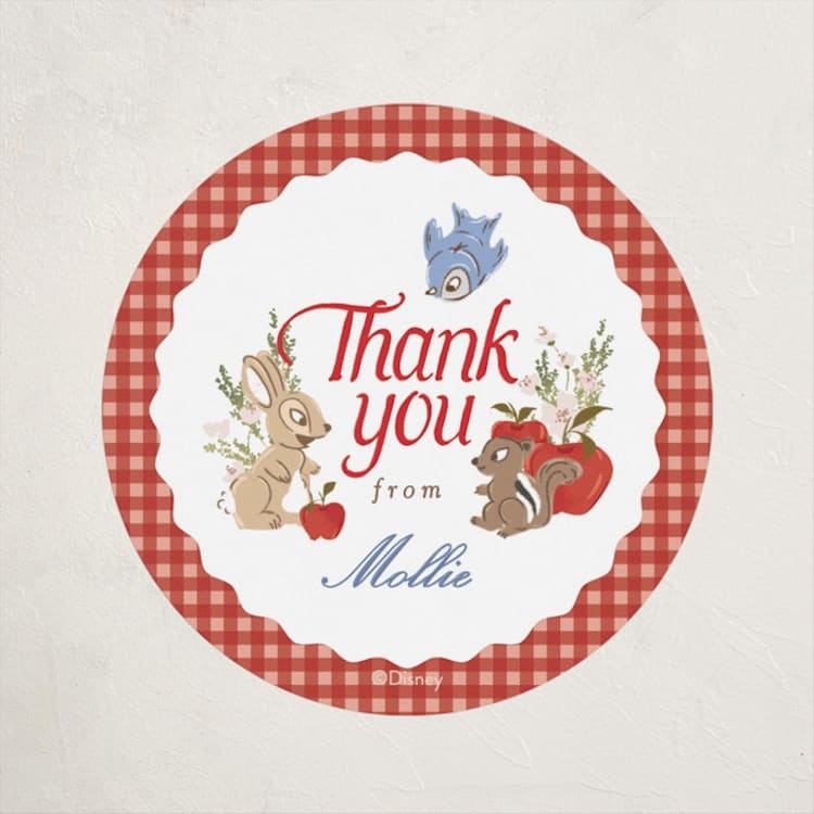 "Disney Woodland Gingham" - Baby Shower Stickers in Apple by Erin L. Wilson - Front
